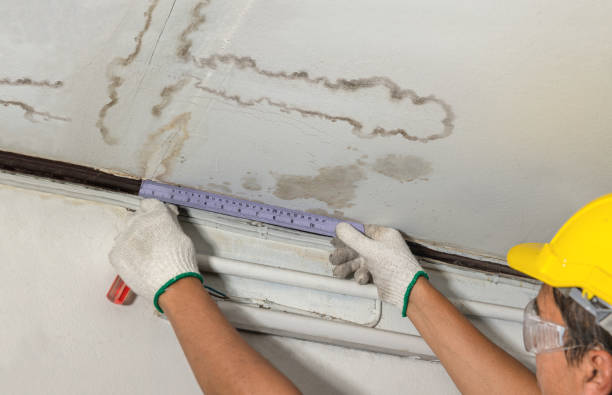 Reliable Water Damage contractor in Quebeck, TN by Water Damage Irwin
